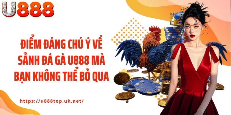 Điểm đáng chú ý về sảnh đá gà U888 mà bạn không thể bỏ qua