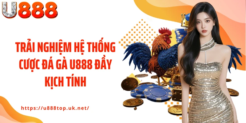 Trải nghiệm hệ thống cược đá gà U888 đầy kịch tính